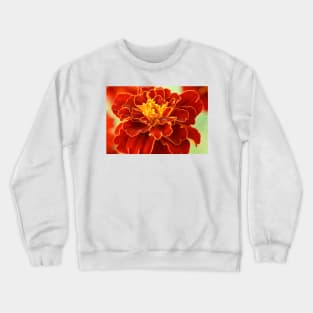 Tagetes patula  &#39;Red Cherry&#39;  French marigold Crewneck Sweatshirt